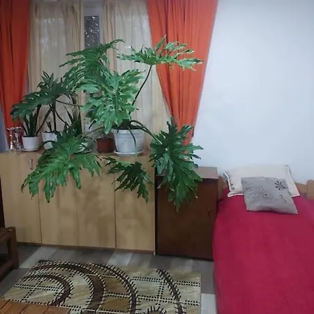 Apartment Mandarina Lux Belgrade